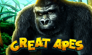 Great Apes