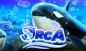 Orca